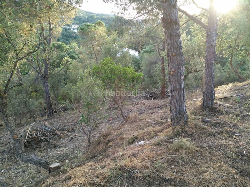 Foto de3eb1b9-e3a0-4bba-a81c-3c7981f24205. Casa amb calefacció aparcament a Mas Pere-Río de Oro Calonge