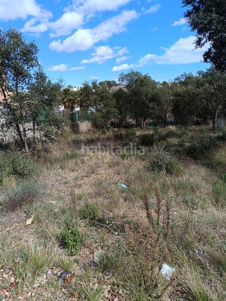 Foto 647d561f-3b5b-4ded-92a0-addedd17b0b1. Terreny residencial a Sils