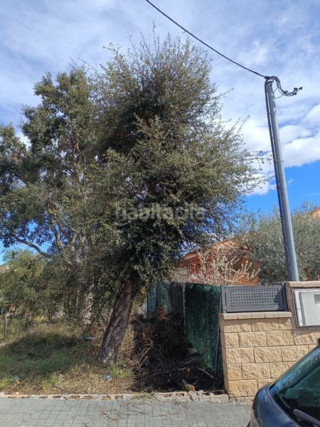 Foto cc6b0b13-a23d-4e35-b2bf-332010c1e0ef. Terreny residencial a Sils