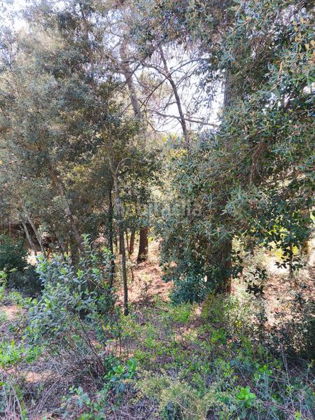 Foto 0aed7ceb-5092-4a24-9eb9-d8126232e341. Terreny residencial a carrer de la font del querol 19 a Matadepera