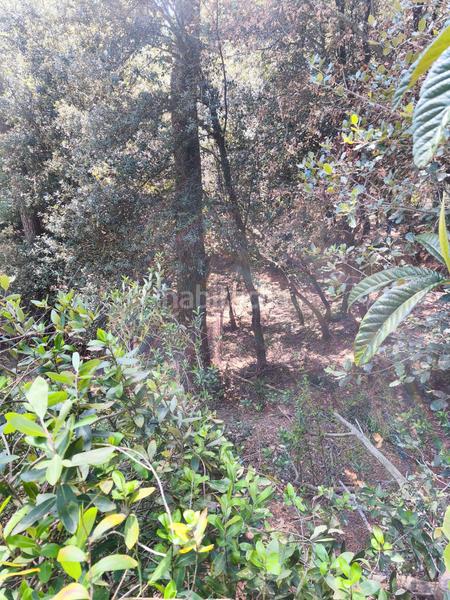 Foto 297be015-2590-4e36-98f3-9d3e04bc91da. Terreny residencial a carrer de la font del querol 19 a Matadepera