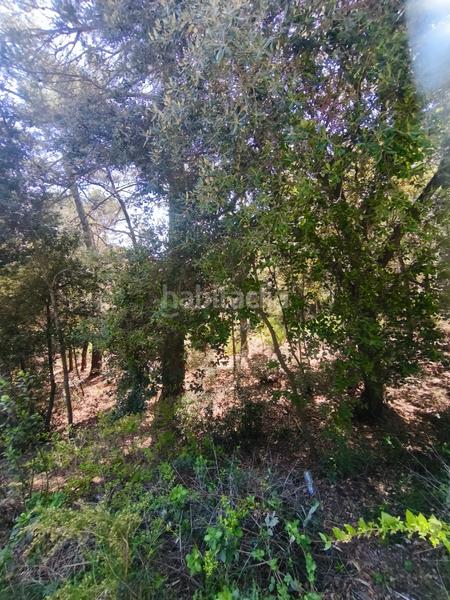 Foto 7030068e-bc6f-4779-ac74-b7588e4a7eb8. Terreny residencial a carrer de la font del querol 19 a Matadepera