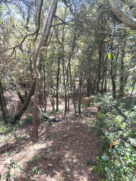 Foto 978e47be-40c7-49a2-8fb1-0711646d6f11. Terreny residencial a carrer de la font del querol 19 a Matadepera