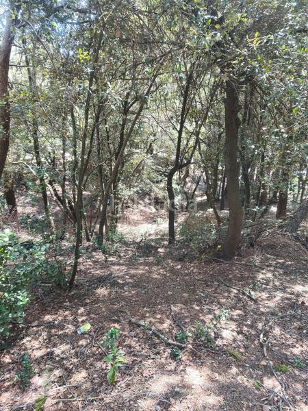 Foto c18ad03a-81fb-4184-a288-ea134b79dd28. Terreny residencial a carrer de la font del querol 19 a Matadepera