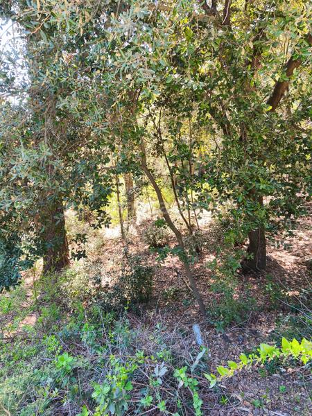 Foto e470535c-1c4c-4ac2-981e-9724a74b9a0f. Terreny residencial a carrer de la font del querol 19 a Matadepera