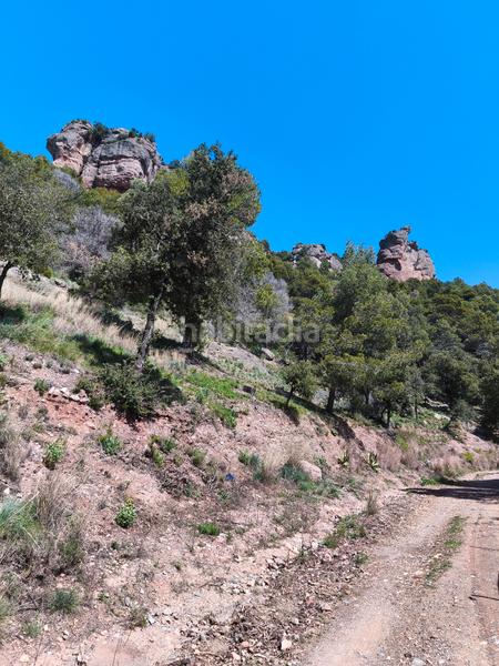 Foto f4a91439-292a-4453-9a12-b90b09769a6f. Terreny residencial a carrer de la font del querol 19 a Matadepera