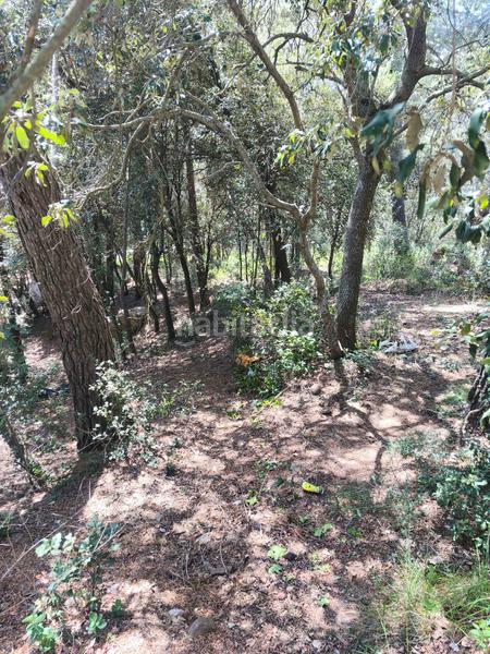 Foto fe62dee1-f819-4155-9461-da3cc9fef82c. Terreny residencial a carrer de la font del querol 19 a Matadepera