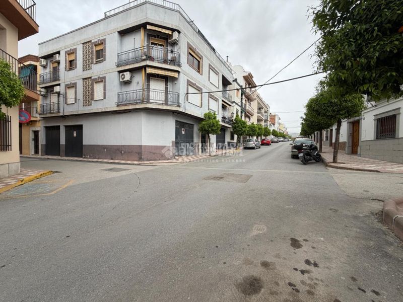 Foto da8bf0a1-c023-485b-8590-8af3ef928e99. Pis a Torredonjimeno