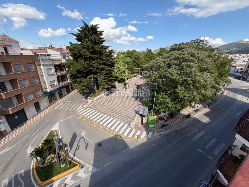 Foto 37a434c0-88aa-4dd9-a67e-db51ad2aac7b. Pis a Torredonjimeno