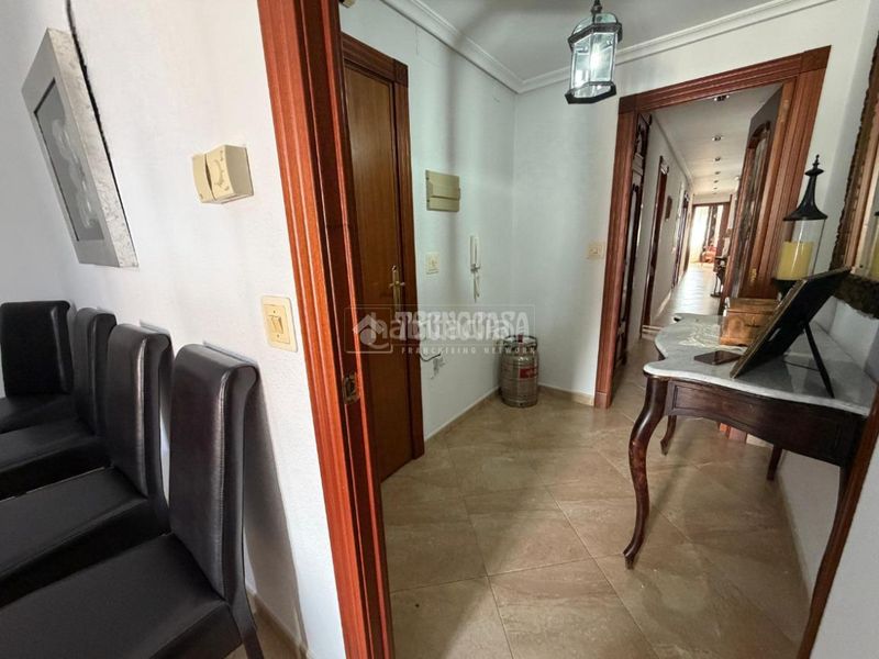 Foto ac2a7ec8-d092-4937-926d-544c5f4abaaf. Pis a Torredonjimeno