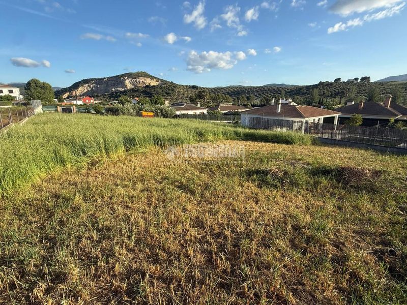 Foto 40c6034a-d0ab-4e77-a888-d5cf01cb7f1a. Terreno residenziale in Fuensanta de Martos
