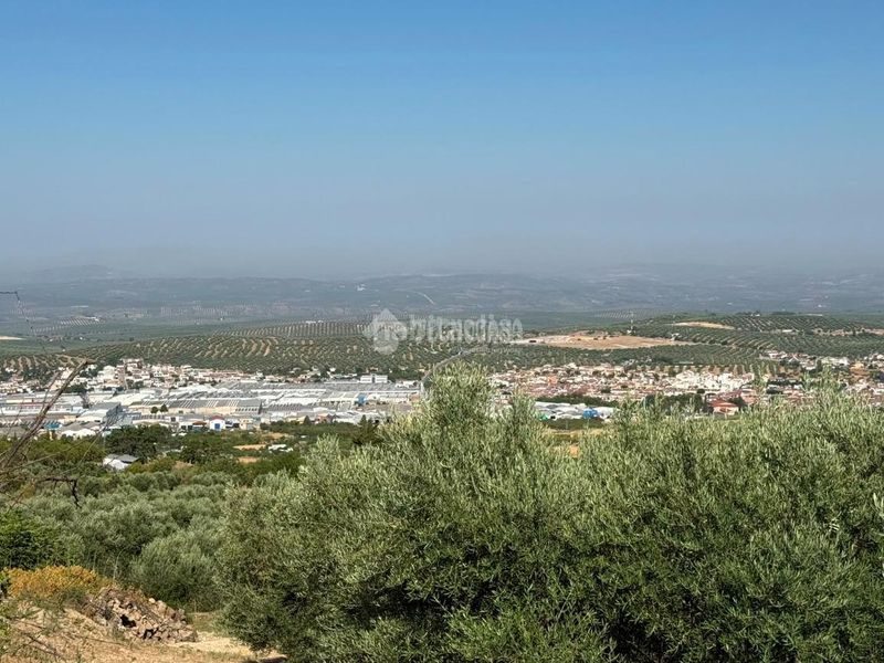 Foto 0e34a3ee-e44d-4a0e-b77c-dd15efcfba4b. Finca rústica a Martos