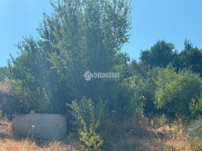Foto 87f9c59a-6d1b-40ff-818b-5451ed7b1fa9. Finca rústica a Martos