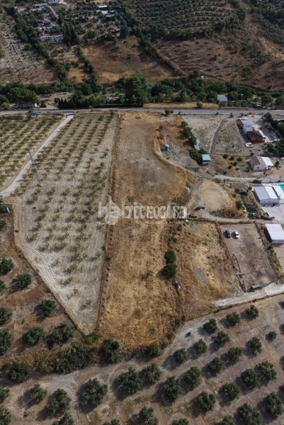 Foto 0b09378d-7349-4389-a28b-50a7e035a512. Finca rústica a Martos