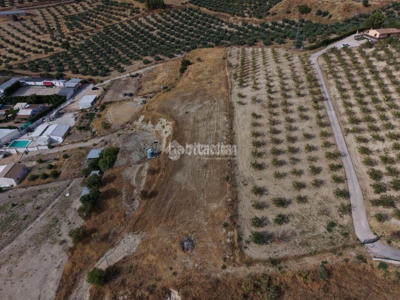 Foto 551da2ee-edae-4c3a-a797-d064d7fa60c3. Finca rústica a Martos