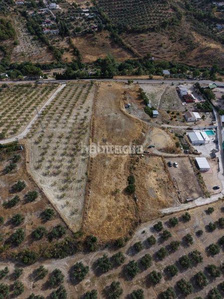 Foto bbc62980-4440-46fc-8d97-e5beeb2d6098. Finca rústica a Martos