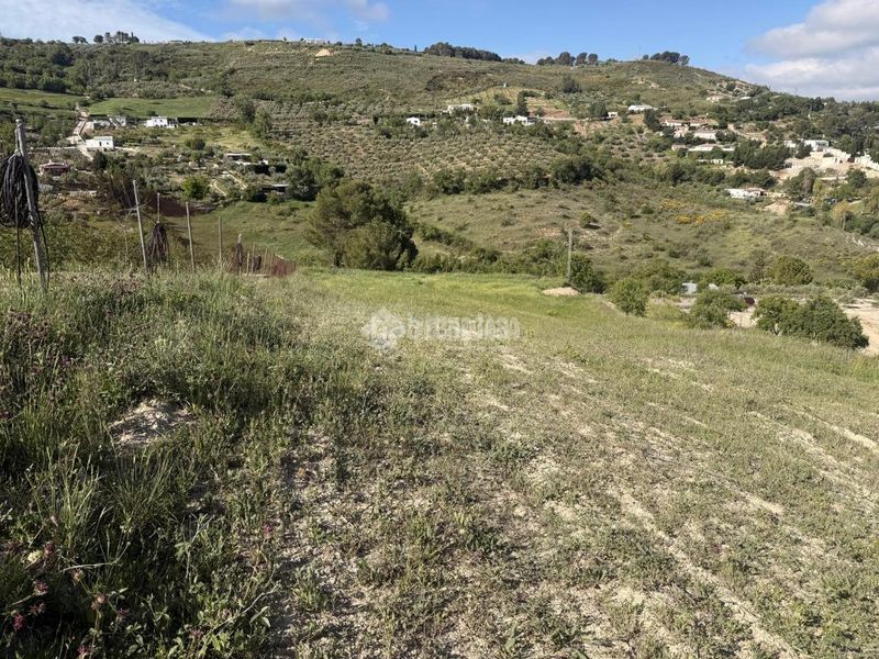 Foto cde8b6bd-e486-48d9-ae99-d68b34a31b77. Finca rústica a Martos