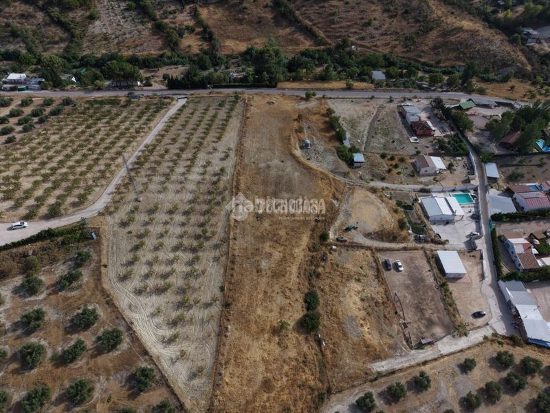 Foto f90c600c-0cb8-4ad5-ad2d-c77e12ef11b6. Finca rústica a Martos