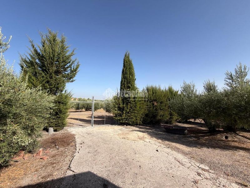 Foto 63bd5626-8c79-4491-8669-737d41ffe6e5. Masia amb calefacció a Alcaudete