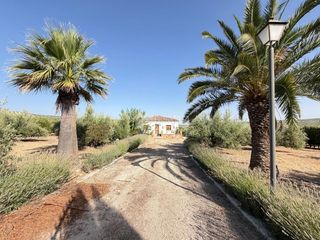 Masia a Alcaudete. Casa rural en venta en martos