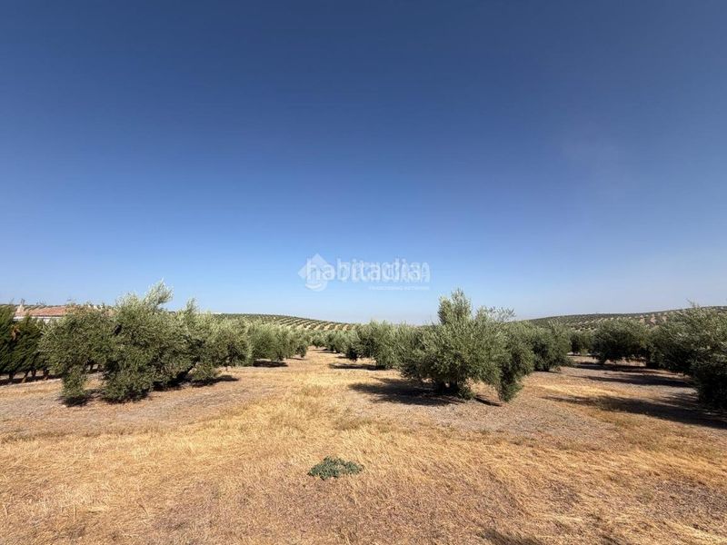 Foto a22b241e-d038-472a-b2c0-0352ab6f11ed. Masia amb calefacció a Alcaudete