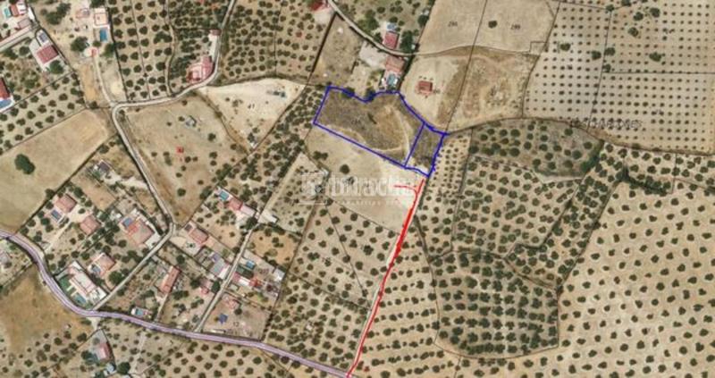 Foto 5885c692-dbc2-42fc-803e-c2c25ac8adfc. Finca rústica terrenos en venta en Martos