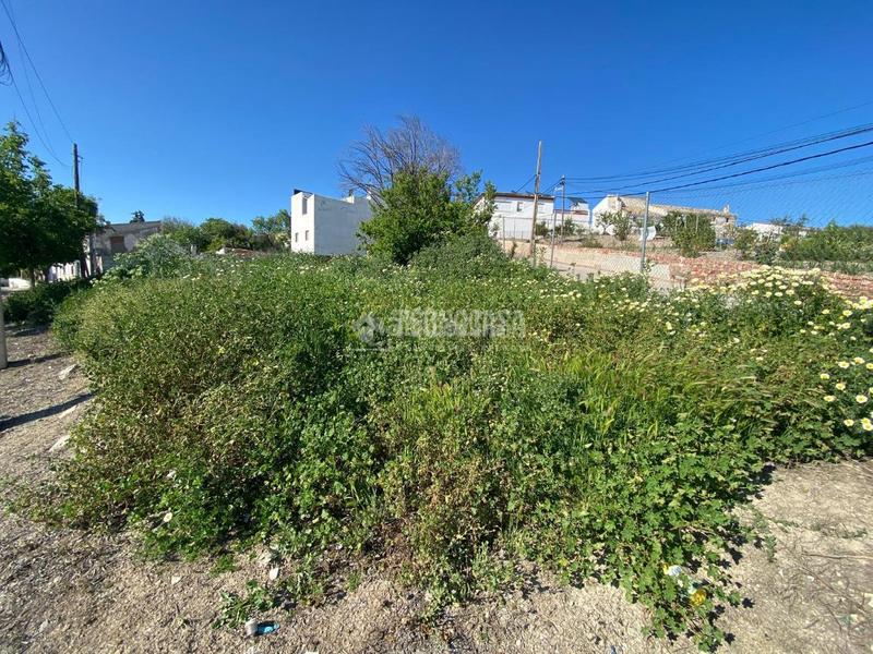 Foto dd95a469-5ce4-4d9a-84e0-dbca5263b063. Terreno residencial terrenos en venta en Alcaudete