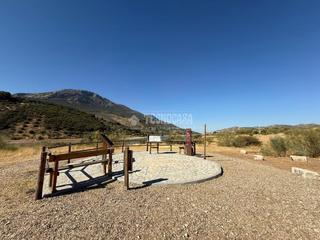 Maison jumelée  C. real. Casa en venta en martos