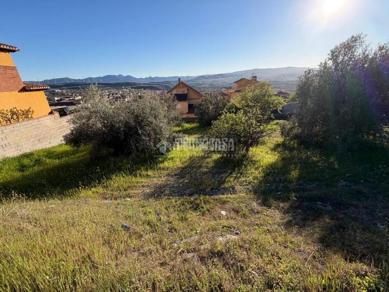 Foto 9a2e7e7d-2c45-46c9-84b2-659d59b4d12f. Terreny residencial a Dúrcal