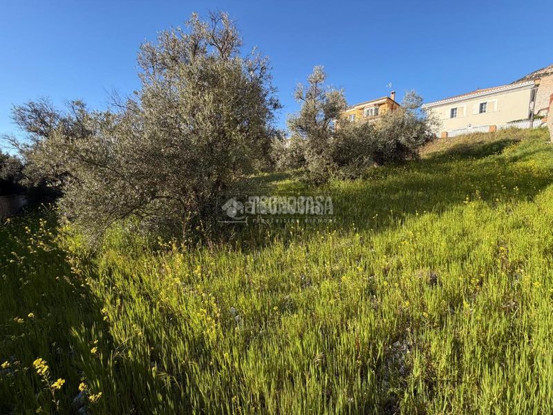 Foto 9cc98a87-6451-419b-985e-ebcadf11ee27. Terreny residencial a Dúrcal