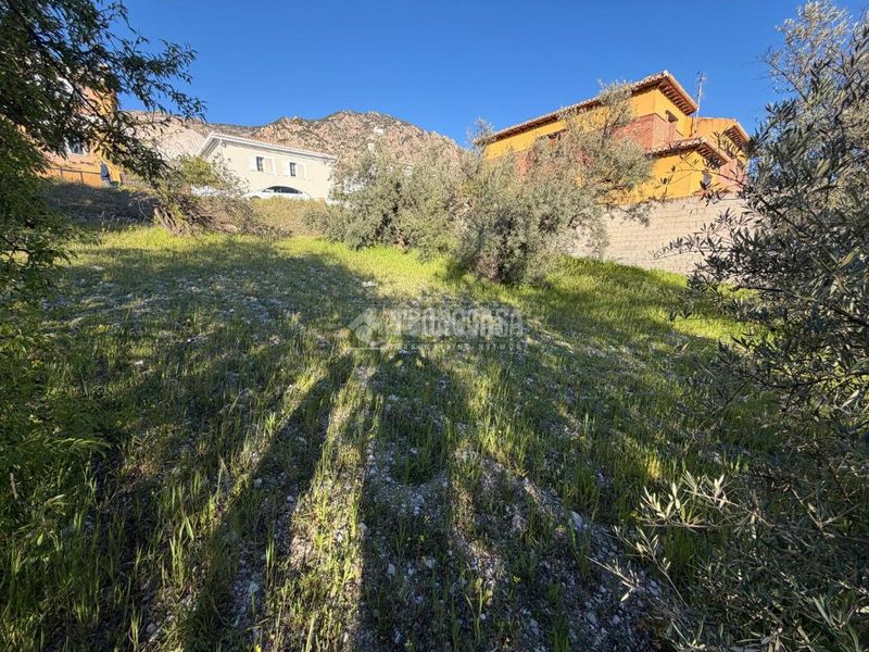 Foto b0e6461f-7a55-49a4-850e-9539c1d2f0db. Terreny residencial a Dúrcal