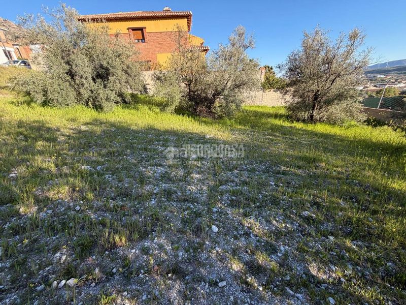 Foto b81d26d2-108b-45cc-9a31-aae1b7c58070. Terreny residencial a Dúrcal