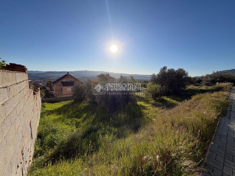 Foto c906c0e5-ff26-4303-a8d6-df66188c204a. Terreny residencial a Dúrcal