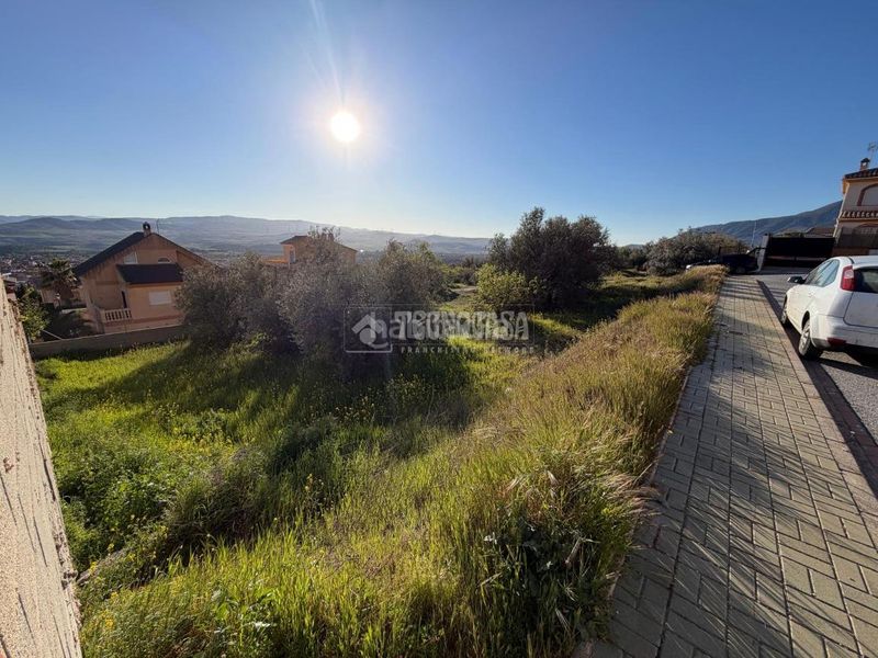 Foto c9f39aa4-8015-428a-9618-0fcc7a961c9d. Terreny residencial a Dúrcal