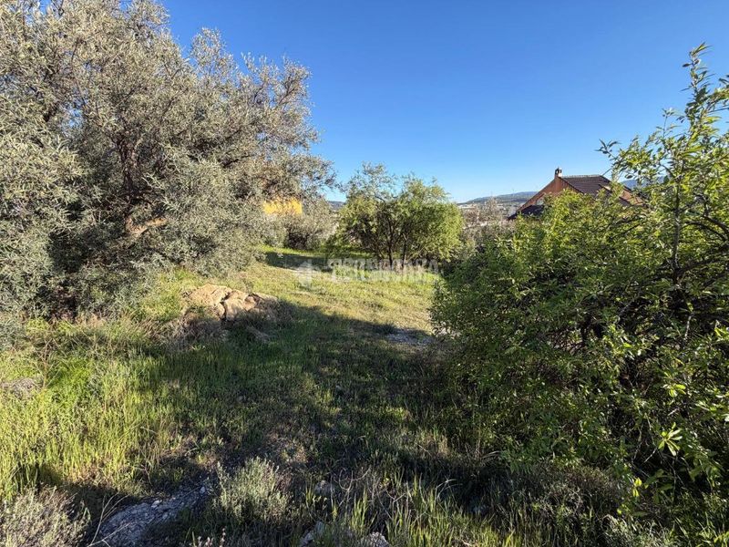 Foto fe1aa36e-5b9b-4c80-a75c-744f2cf3a117. Terreny residencial a Dúrcal