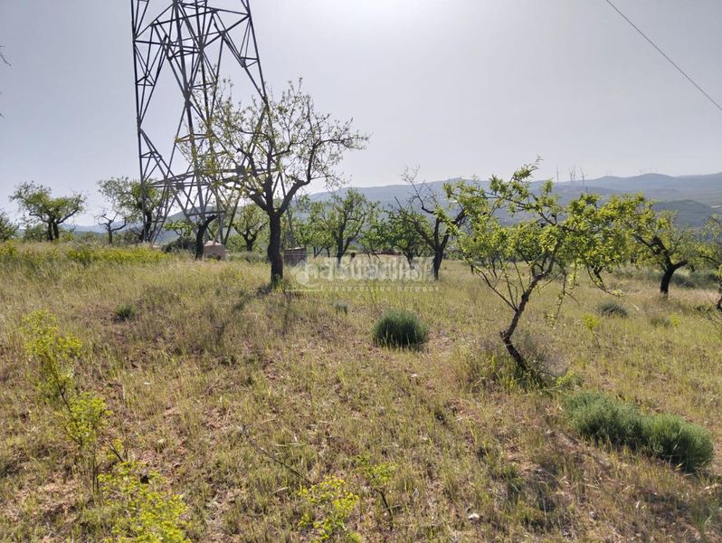 Foto 02b65881-72e8-4835-9d96-a20b745fe8b1. Finca rústica terrenos en venta en Dúrcal