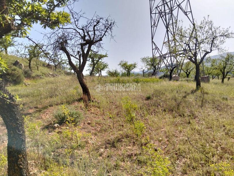 Foto 05a2fa5b-1401-4cc3-ac92-8e14b61a71d4. Finca rústica terrenos en venta en Dúrcal