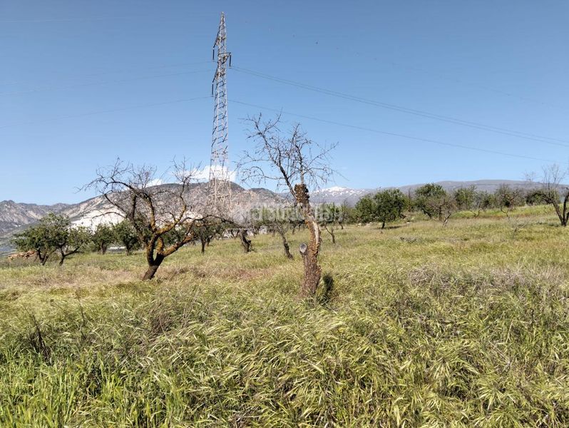 Foto 060433c1-d288-4eda-a23a-0c8d043c501b. Finca rústica terrenos en venta en Dúrcal