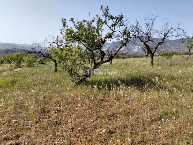 Foto 1e6ce7d8-d8c9-435f-9991-e6de76e51e23. Finca rústica terrenos en venta en Dúrcal