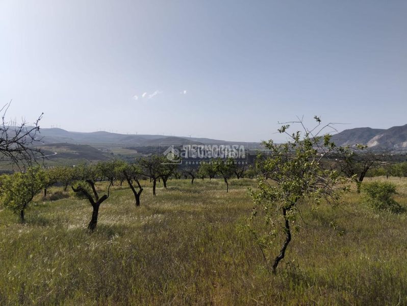Foto 31a2440d-be24-493d-8275-08722342da87. Finca rústica terrenos en venta en Dúrcal