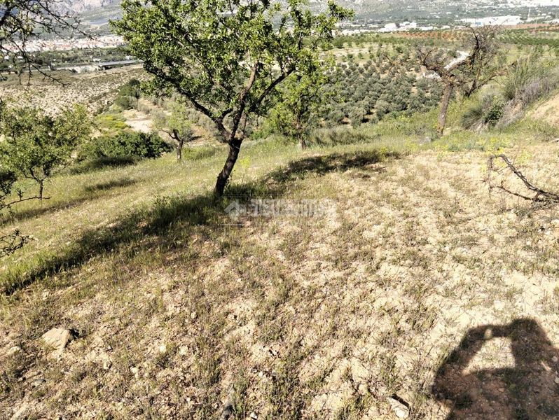 Foto 3b2cd3cb-70a4-4910-b3d6-55a963a99b32. Finca rústica terrenos en venta en Dúrcal