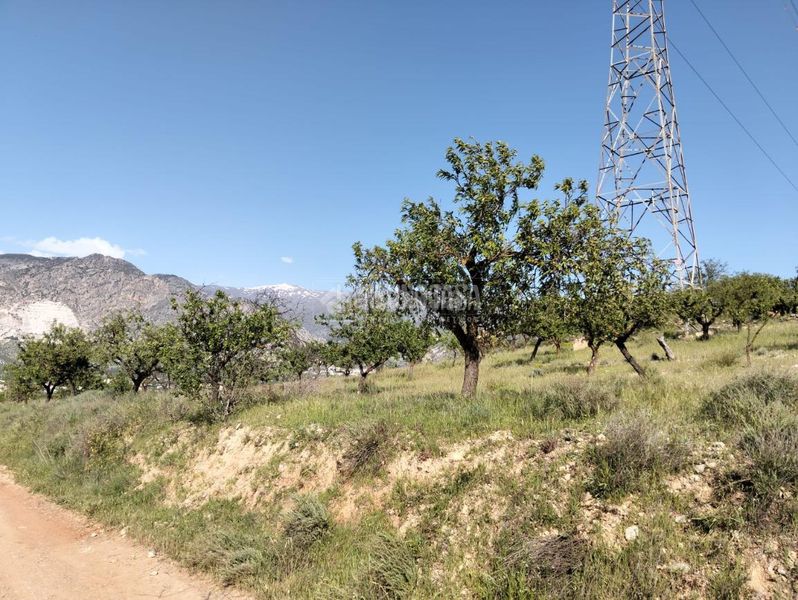 Foto 619c6984-e13f-4e31-b47d-2fb0e6d9a36d. Finca rústica terrenos en venta en Dúrcal