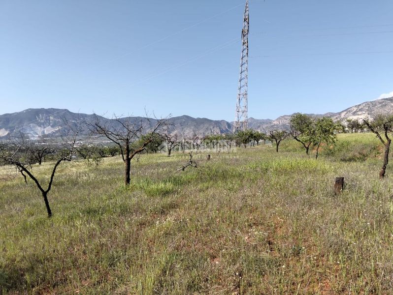 Foto 62b25afe-e064-4b35-be1a-aba8663a1a15. Finca rústica terrenos en venta en Dúrcal