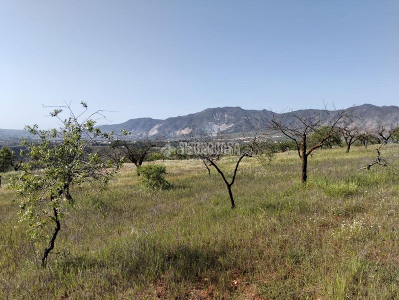 Foto 6551a9b3-3e16-41df-9d95-0620173bc0c1. Finca rústica terrenos en venta en Dúrcal