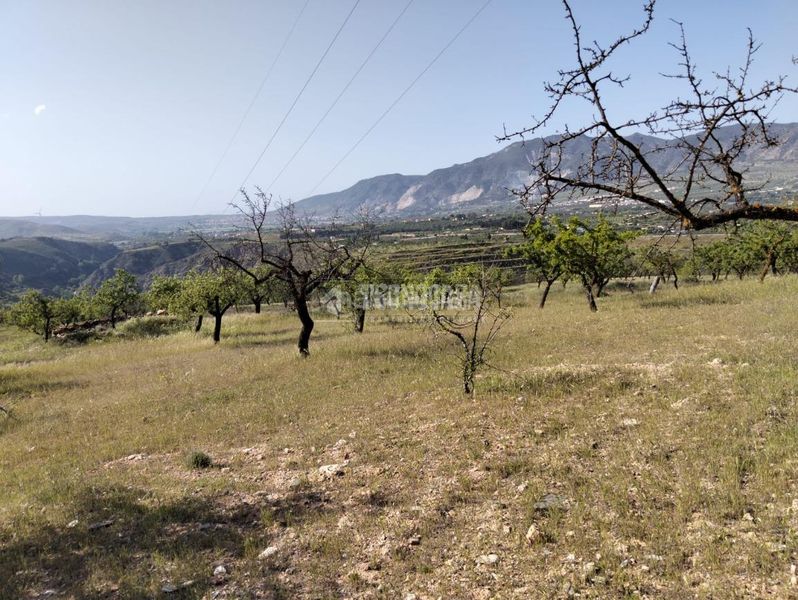 Foto 69ba04d6-7c7c-4e8b-bdf5-902a33703e31. Finca rústica terrenos en venta en Dúrcal