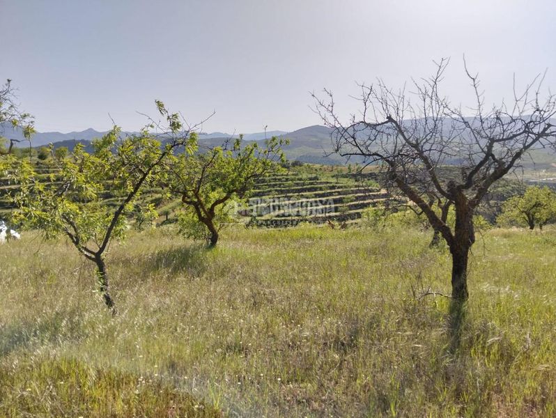 Foto 732516fe-3d4d-4986-acc7-b834772f7679. Finca rústica terrenos en venta en Dúrcal