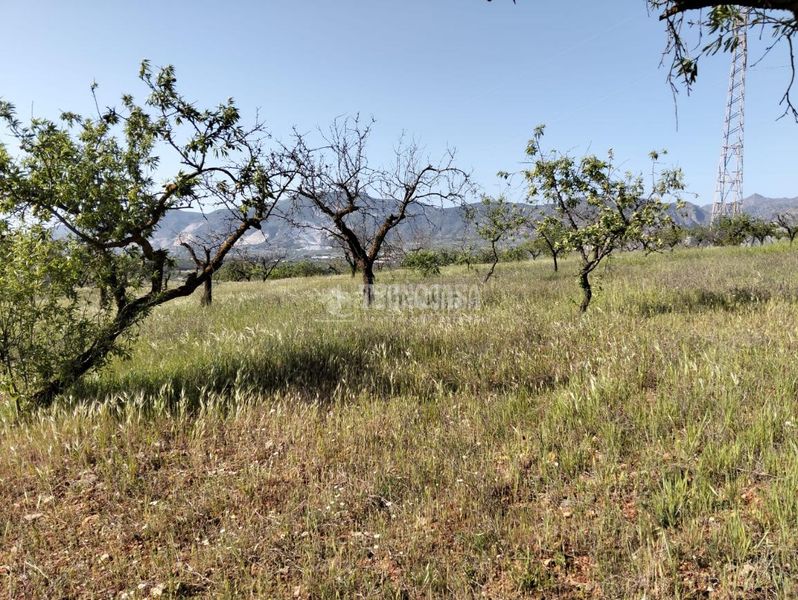Foto 7abb1480-fd3a-41c9-966b-1bf87ddda6f1. Finca rústica terrenos en venta en Dúrcal