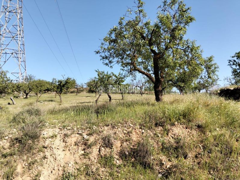Foto 8cfbb9fd-fdcd-4bb1-adbc-195ec8d243da. Finca rústica terrenos en venta en Dúrcal