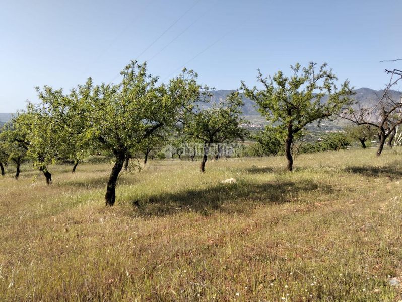 Foto 9ac737b0-f67a-4390-8d5d-717f0b5264ad. Finca rústica terrenos en venta en Dúrcal
