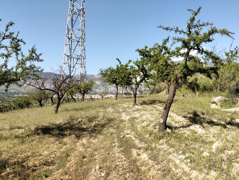 Foto 9c524899-d0bf-4fb2-b1d4-4ea5b4753e2a. Finca rústica terrenos en venta en Dúrcal